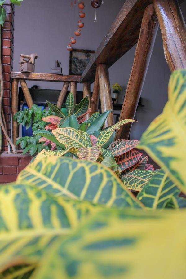 Hotel Colonial San Felipe Girón エクステリア 写真